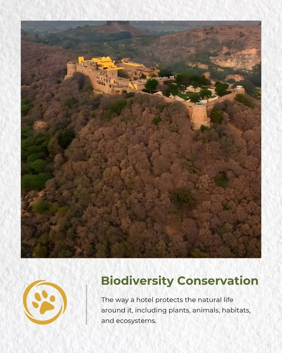 Biodiversity at Ramathra Fort