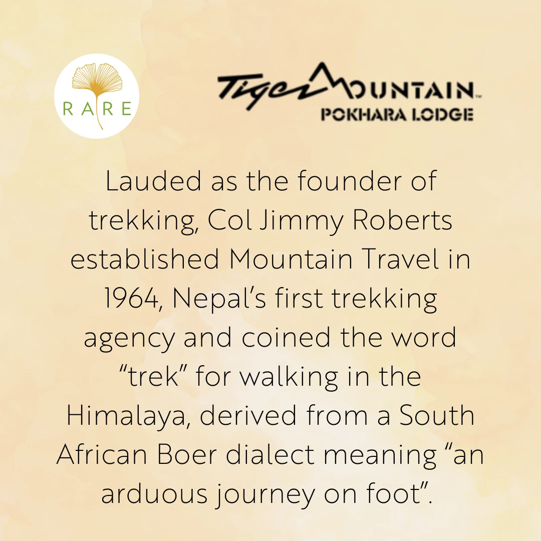 image_1750747178232