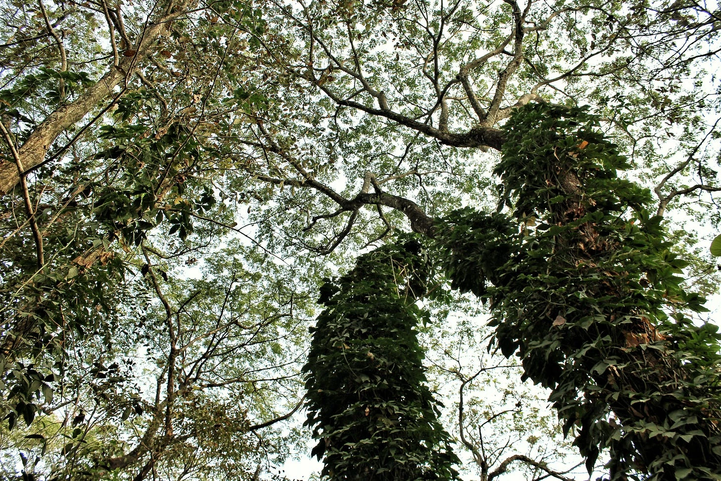 image_1753360368879